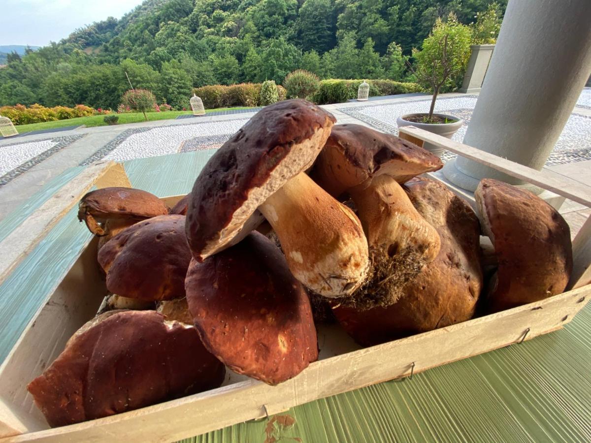 Agriturismo Grammelot سارنيكو المظهر الخارجي الصورة