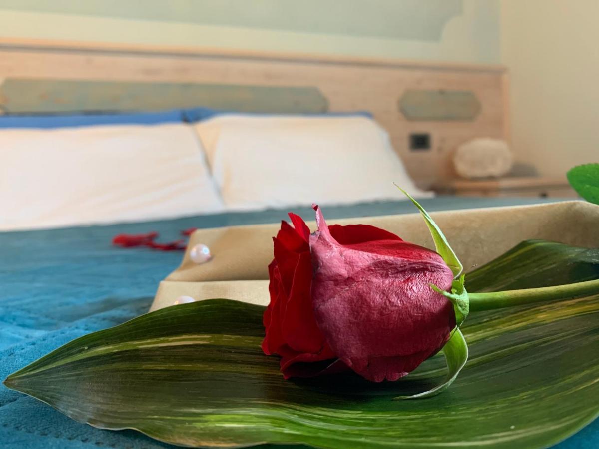 Agriturismo Grammelot سارنيكو المظهر الخارجي الصورة