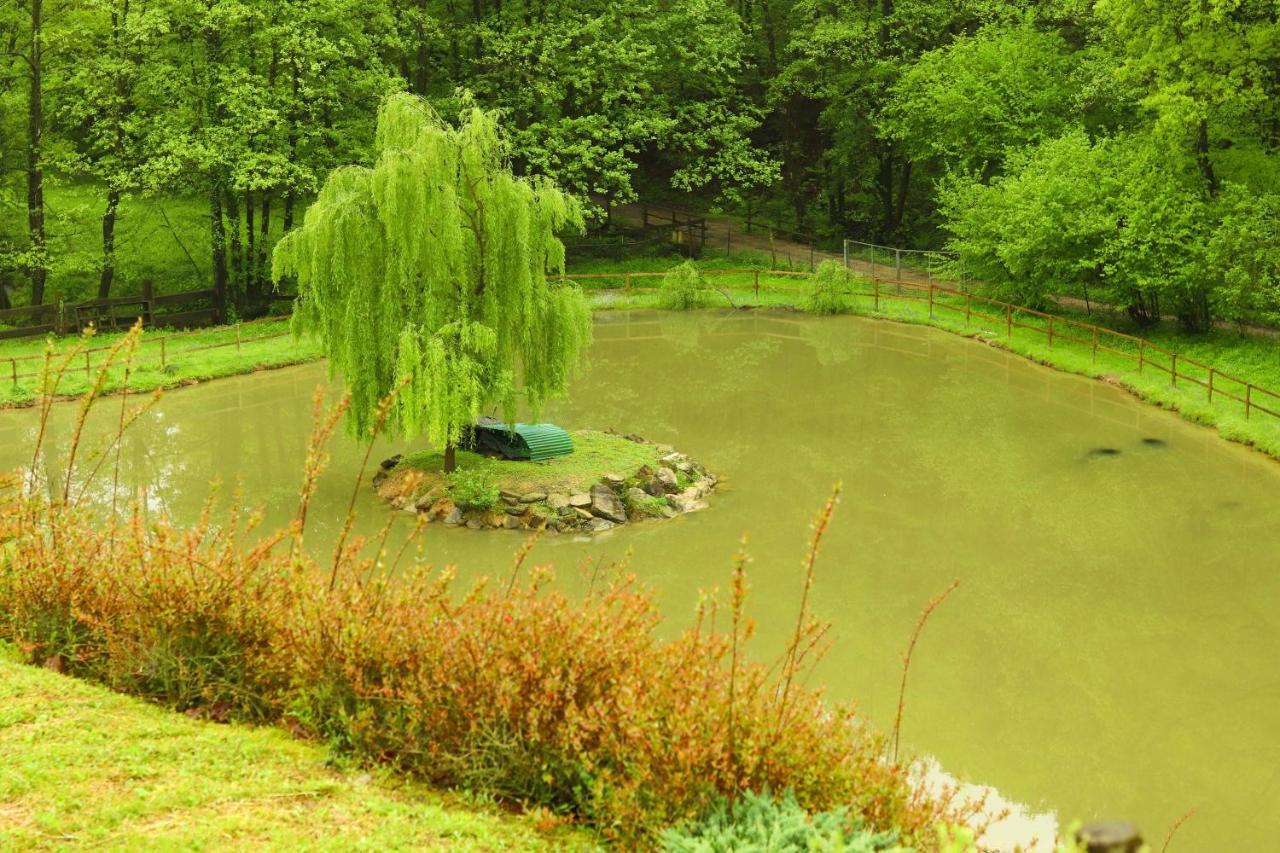 Agriturismo Grammelot سارنيكو المظهر الخارجي الصورة