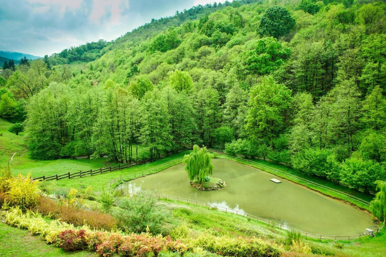Agriturismo Grammelot سارنيكو المظهر الخارجي الصورة